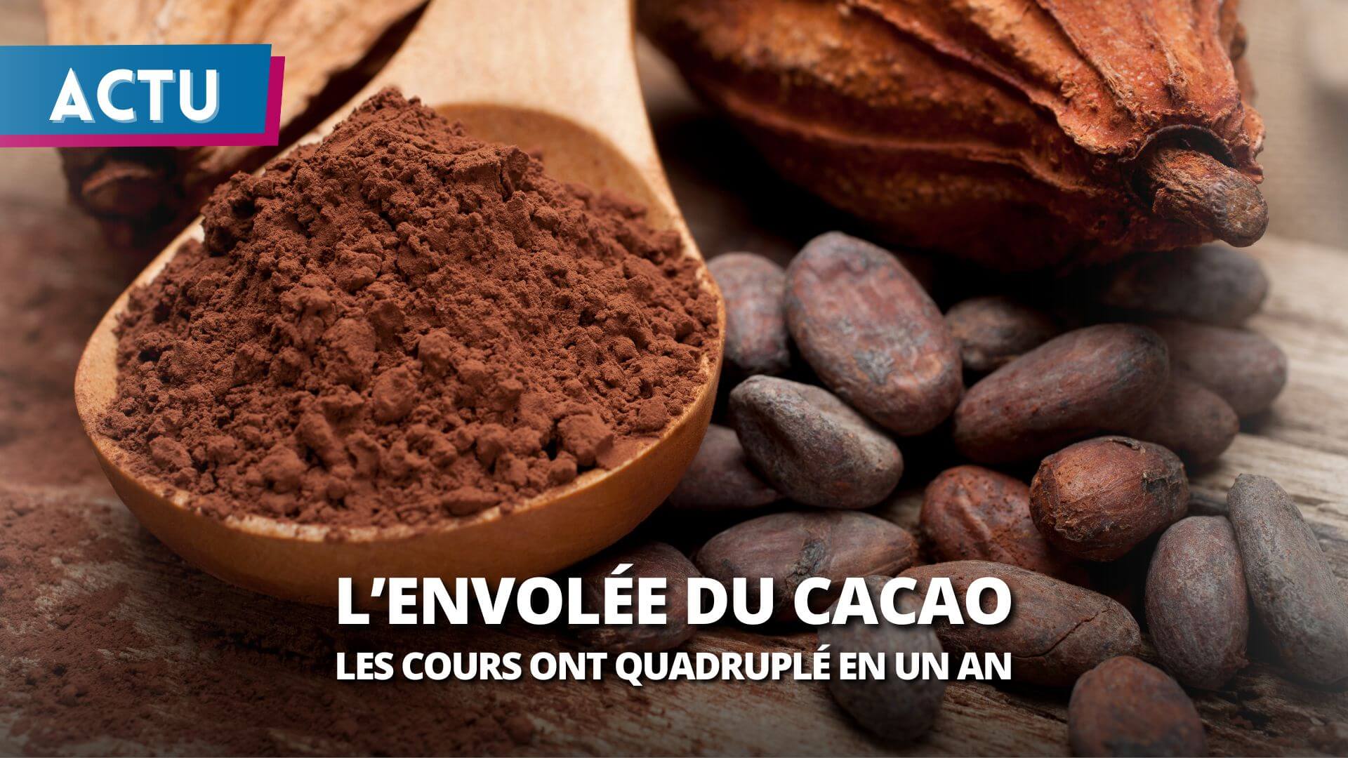 Les cours du cacao multipliés par quatre : Ethiquable décrypte les enjeux d’une filière