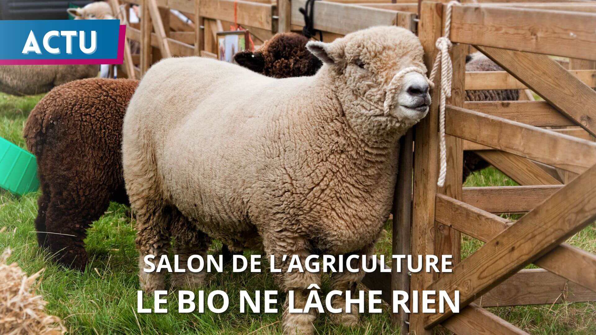 Salon de l’agriculture : les agriculteurs Bio Équitable ...